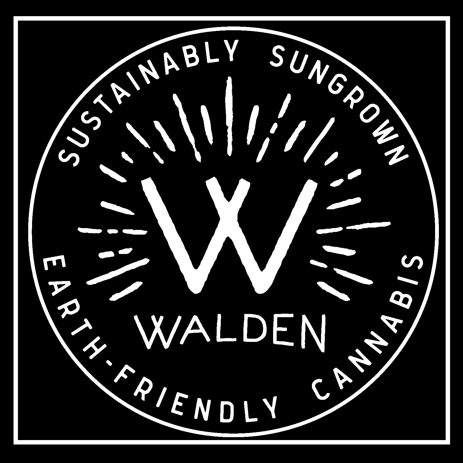 Shop All Walden