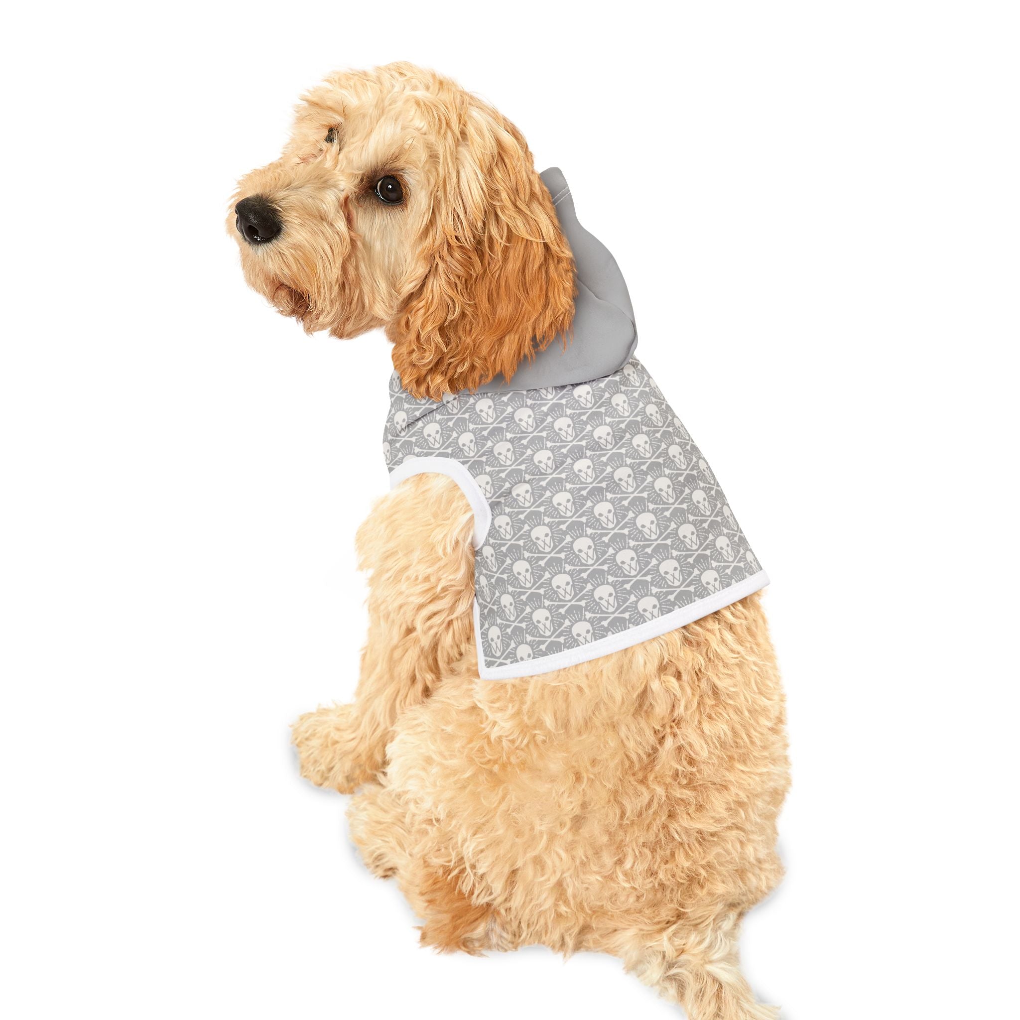 Walden Skull & Crossbones Pet Hoodie