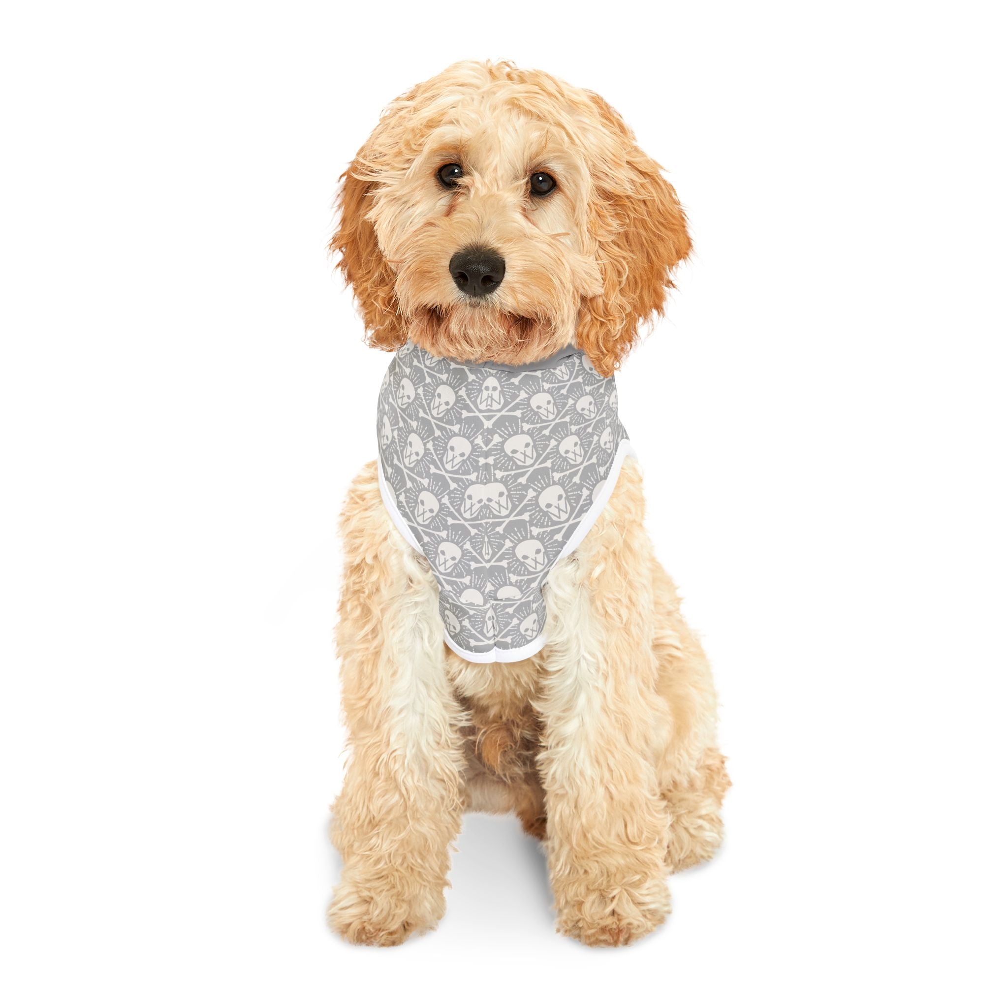 Walden Skull & Crossbones Pet Hoodie