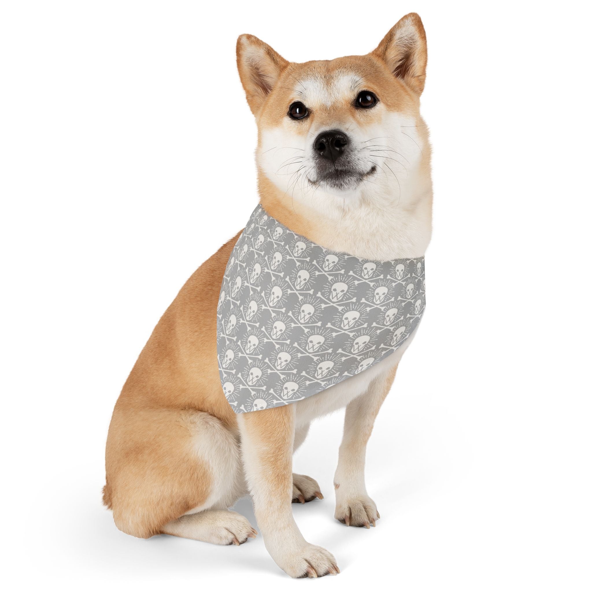 Walden Skull & Crossbones Pet Bandana Collar